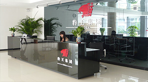 豹王集團(tuán)